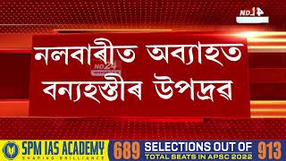 Nalbari News: নলবাৰীত অব্যাহত বন্যহস্তীৰ উপদ্ৰৱ