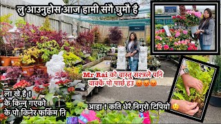 लाखे है ! दिल खुश हुनेगरि के पो किन्यो हउ MrsRai ले 🤔 | Garden Centre Tour | Nepali Family UK