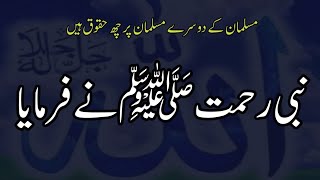 musalman k musalman par6haq Hain NABI Rehmat ﷺne Farmaya🥀|Hadees