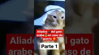 aliados del gato árabe en caso de guerra