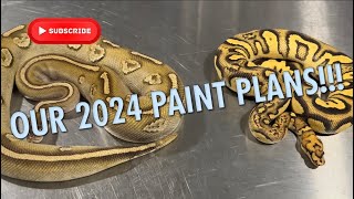 CRAZY 2024 PAINT PLANS!!