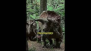 Triceratops vs Tyrannosaurus rex #edit #shorts #jurassicworld