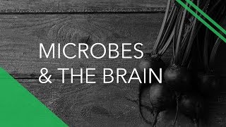 Microbes & The Brain