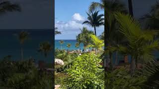 Our view from THE COVE at the Atlantis Bahamas