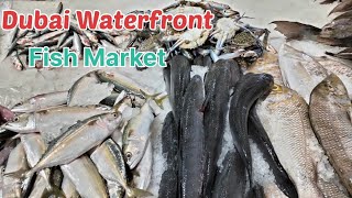 Biggest Fish Market in Dubai | Waterfront Fish Market | Amazing Fish mandi | Dubai travel vlog