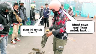 MAAF...Saya Cari Ikan Hanya Untuk Lauk..!! ||KETAPEL IKAN||