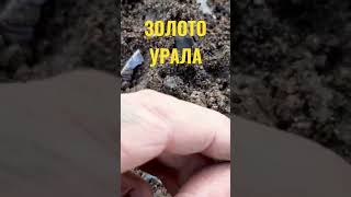 КОПАЕМ ЗОЛОТО МЕШКАМИ))              #поискзолотанапляже #пляжныйкоп #находка #beachmetaldetecting