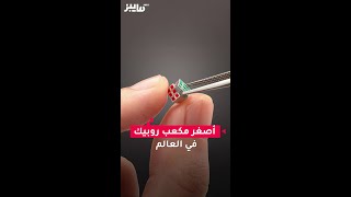 أصغر مكعب روبيك في العالم