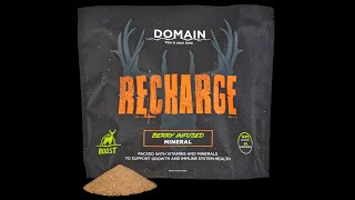 Domain Outdoor - Recharge Food Plot Mineral | Blain's Farm & Fleet