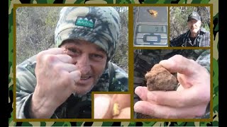 Nice 9.1 Gram Nugget + more in Talbot - (Episode 105)