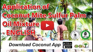 Application of Coconut Mite Sulfur Palm Oil Mixture - ENGLISH