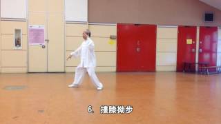 42式太極拳背向慢動作-1 (2013.09.01) 42 Form Tai Chi Slow moving -1 (Back View)