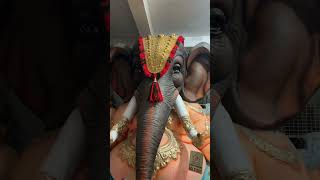 Dhoolpet Ganesh idols  unique idol |#ganesh #ganeshchaturthi #dhoolpet #viralvideo #ganesha #short