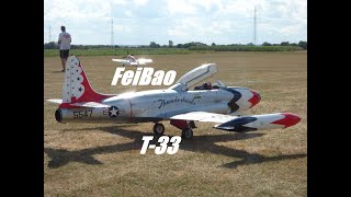 Big scale RC Jet FeiBao T-33