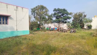 5 Kunte Land for Sale Near Mysore (9110861228)