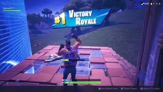 Fortnite first victory