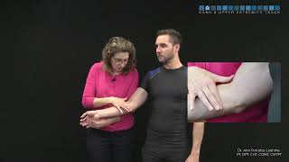 Elbow: Transverse friction massage - MT junction flexor pronator group