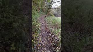 Walking up to Glenturret Distillery