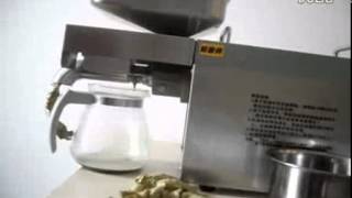 Pumpkin seeds oil press extraction-Automatic Small Oil Press Machine Stainless Steel Cold Hot Press