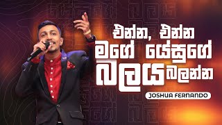 එන්න එන්න මගේ ජේසුගේ බලය බලන්න | Joshua Fernando [LIVE from the Miracle Dome]