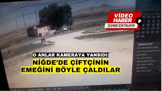 Niğde’de çiftçinin emeğini böyle çaldılar!