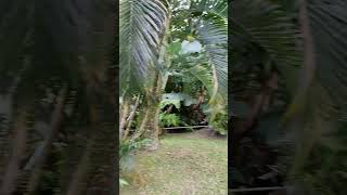 SUASANANYA ENAK SEKALI DI VILLA KERASAN UBUD BALI