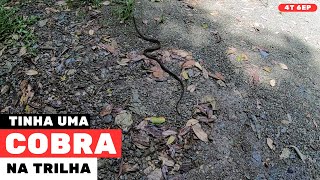 ENCONTRAMOS UMA COBRA NA TRILHA // O LUGAR É MUITO LINDO