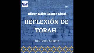 Bikur Jolim Monte Sinai Viernes, 11 noviembre