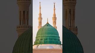 Madina Sharif naat Sharif ❤️ Mohammed#video#viral#shorts#madina#sharif#naat#sharif#trending#lslamic