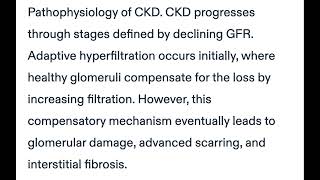 Chronic Kidney Disease: Causes, Symptoms, and Complications