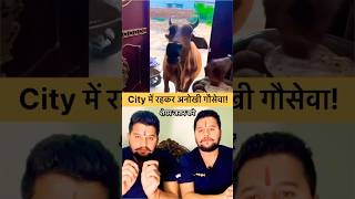 City में रहकर अनोखी गौसेवा!😱😱 #gauseva #gaumata #baawalechorevlogs #viralshorts