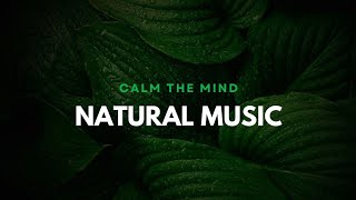 Natural meditation and Nature's Symphony,  Earth's  Lullaby,Green   Soundscapes🌱