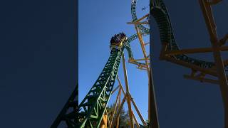 Would YOU Ride Cheetah Hunt? #shorts #youtubeshorts