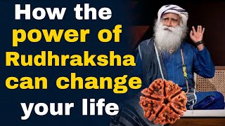 How the power of rudhraksha can change you life | Yogi Spiritual | Rudhrakshka | sadhguru speeches