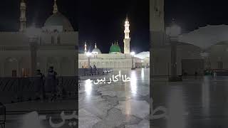 یا الله... ہم گنہگار ہیں۔ خطا کار ہیں۔ لیکن تو تو بہت غفور ورحیم ہے۔ #dua #ytshort #hajj2024 #umrah