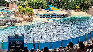 Dolphin Adventures mini-show Seaworld Orlando