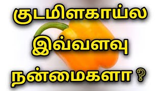 குடமிளகாய் மருத்துவ நன்மைகள் #capsicum  #healthtips #tamilhealthtipstamil #chilli