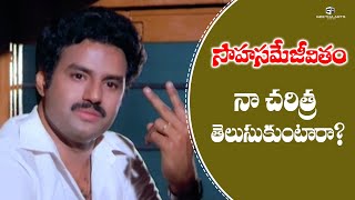 Sahasame Jeevitham Telugu Movie Scenes | Nandamuri Balakrishna, Vijji | Ilaiyaraaja | Bharati-Vasu