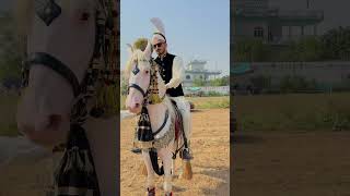 MashAllah Horse Fakhar E Attock