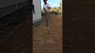 Planting Grass Seed #lawncare #landscaping #nature #lawnmaintenance #lawnmowing #garden #shorts