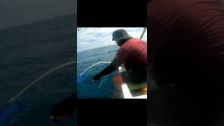 Jumping Fish #Short #Shorts #Fishing #Sea