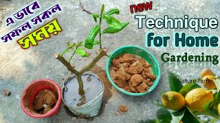 New Technique Propagate Lemon Tree with Cloth | Nurseries Don't Tell You About! tips