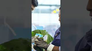 লাভজনক কৃষি #agriculture #viral #shorts