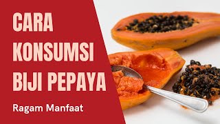 Manfaat Biji Pepaya dan Cara Mengkonsumsi