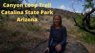 Canyon Loop Trail- Catalina State Park, AZ