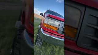 97 Ford grazing with the Nevada Wild Horses