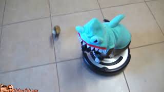 Shark-Cat on Roomba [SHITTY FLUTE]