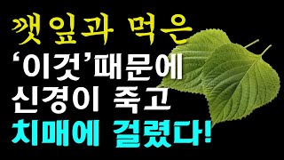 깻잎과 절대로 함께 먹지마세요! 암과 치매에 걸릴 수 있습니다! 깻잎과 먹으면 최악의 궁합인 3가지와 건강지키는 최고의 음식 3가지까지 [ 깻잎효능, 건강 정보]