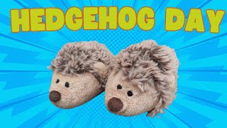 Hedgehog Fun Day | Plushy Story | Plushy Kids