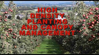 High Density Planting(HDP)